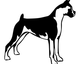 Boxer Decal