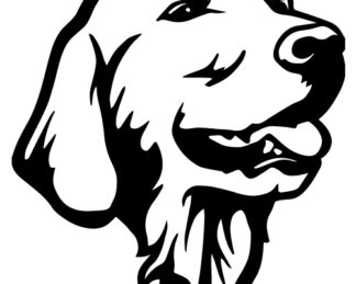 Golden Retriever Bust Decal