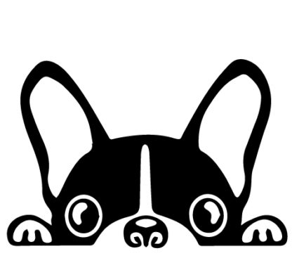 Peeking Boston Terrier Car Decal